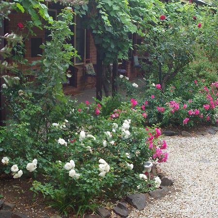 Motel Maldon Εξωτερικό φωτογραφία