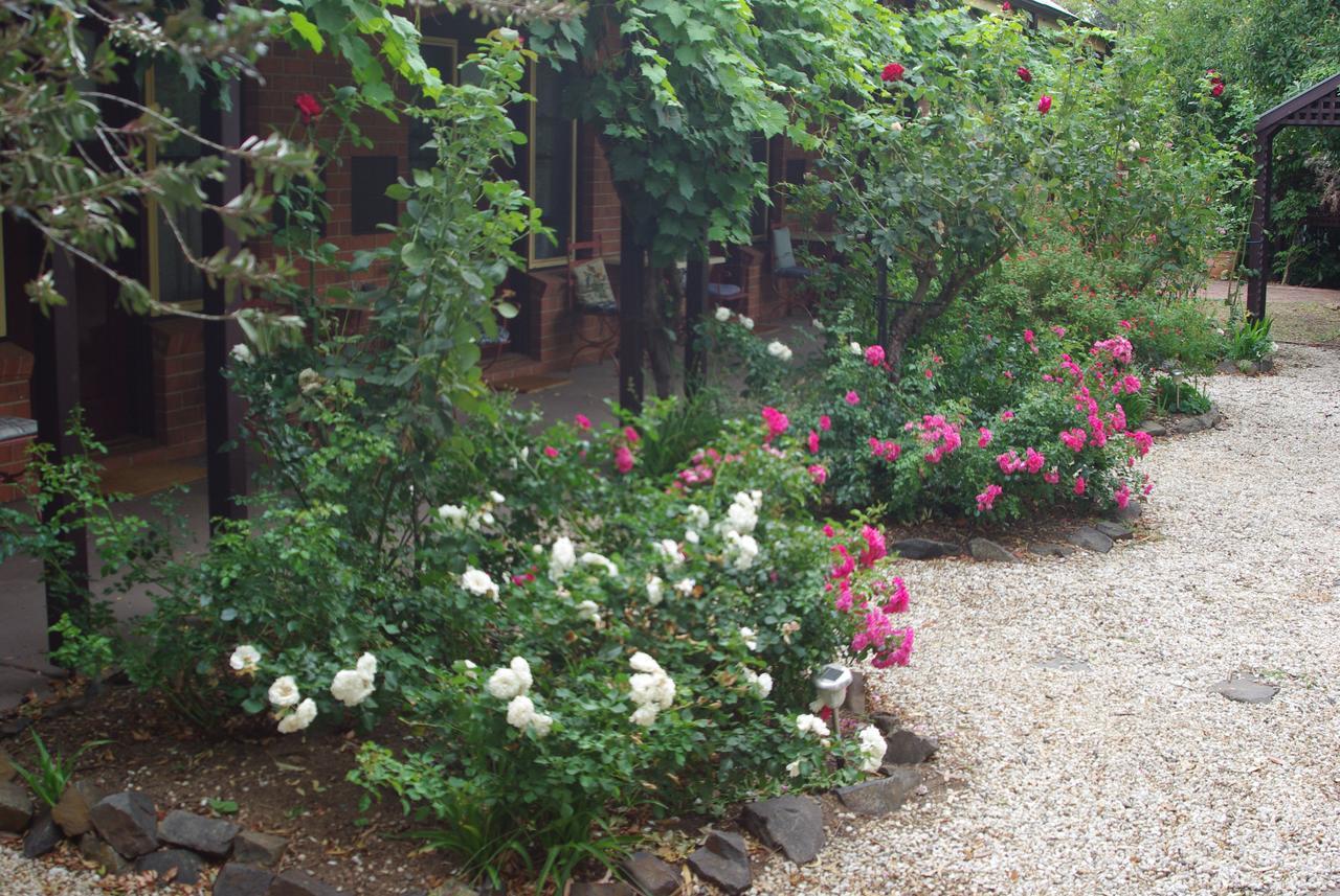 Motel Maldon Εξωτερικό φωτογραφία
